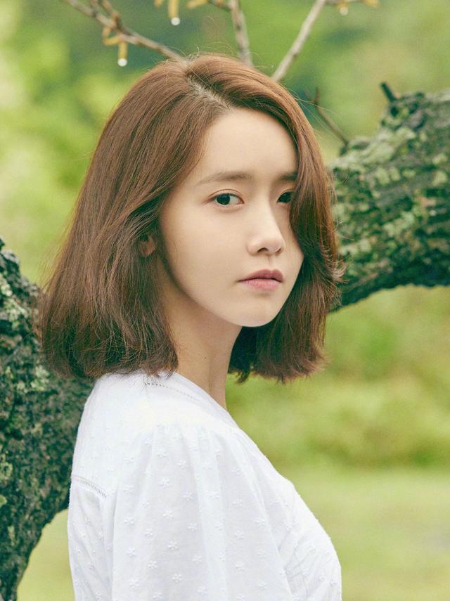 黑色大丽花